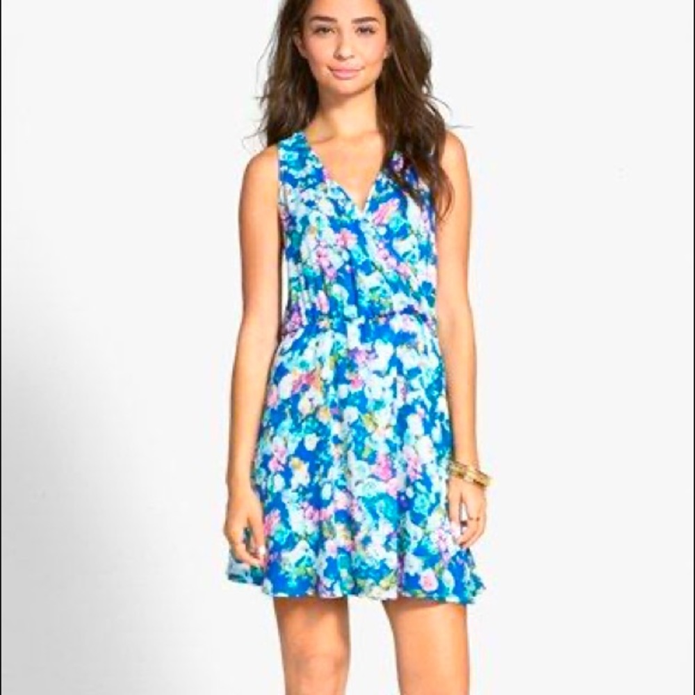 Lush Kylie Skater Dress Size Large